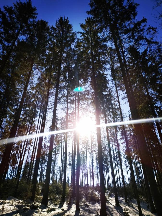 Gierkowka - Gorska Rezydencja Pierwszego Sekretarza Zwardon Bagian luar foto