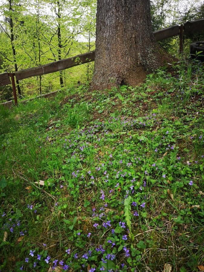 Gierkowka - Gorska Rezydencja Pierwszego Sekretarza Zwardon Bagian luar foto