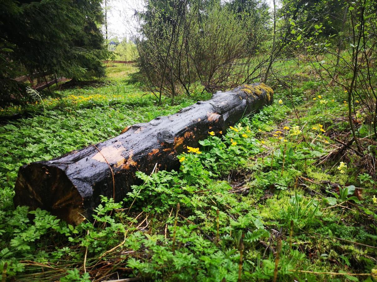 Gierkowka - Gorska Rezydencja Pierwszego Sekretarza Zwardon Bagian luar foto