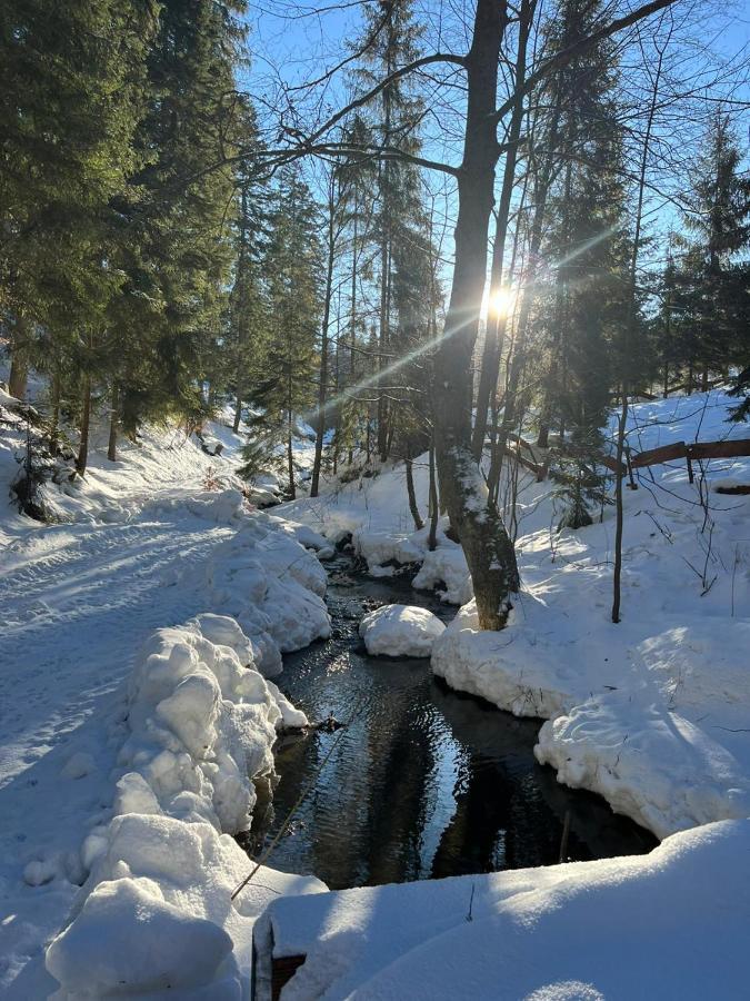 Gierkowka - Gorska Rezydencja Pierwszego Sekretarza Zwardon Bagian luar foto