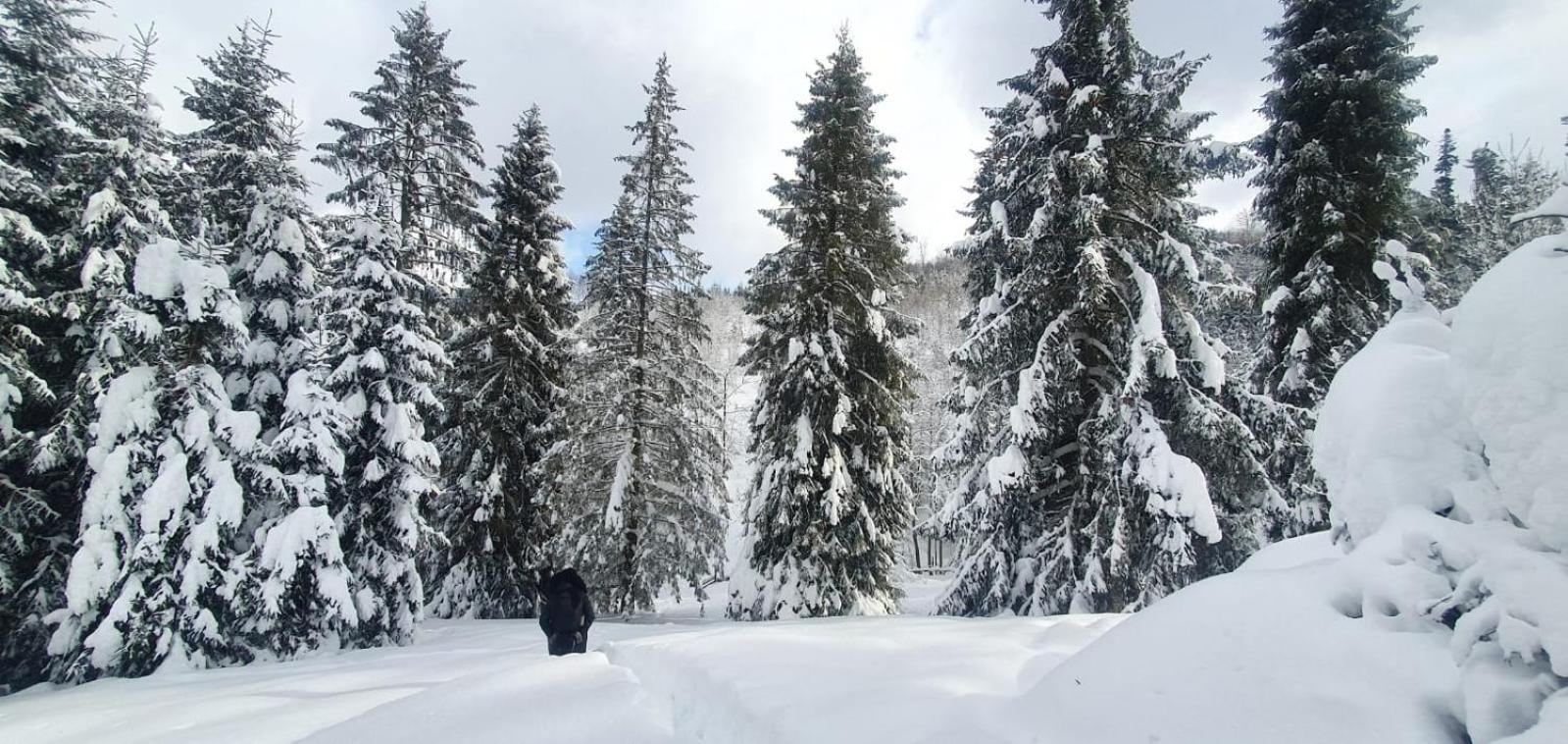 Gierkowka - Gorska Rezydencja Pierwszego Sekretarza Zwardon Bagian luar foto